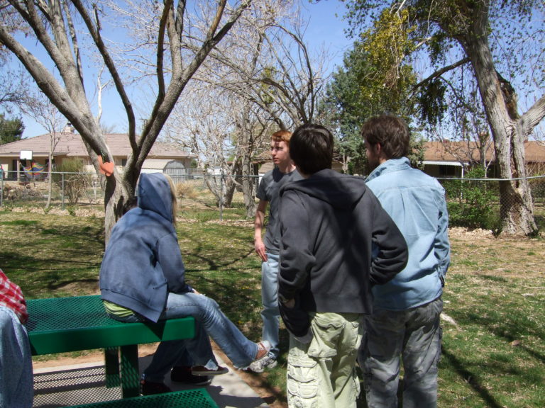 Children at park day