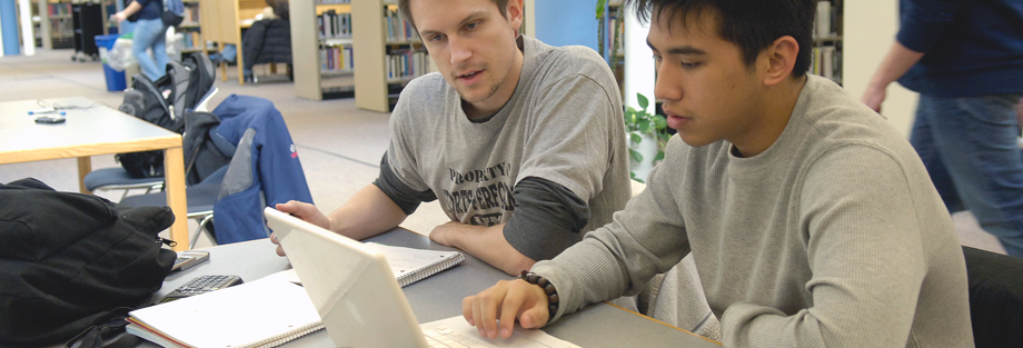 College students studying